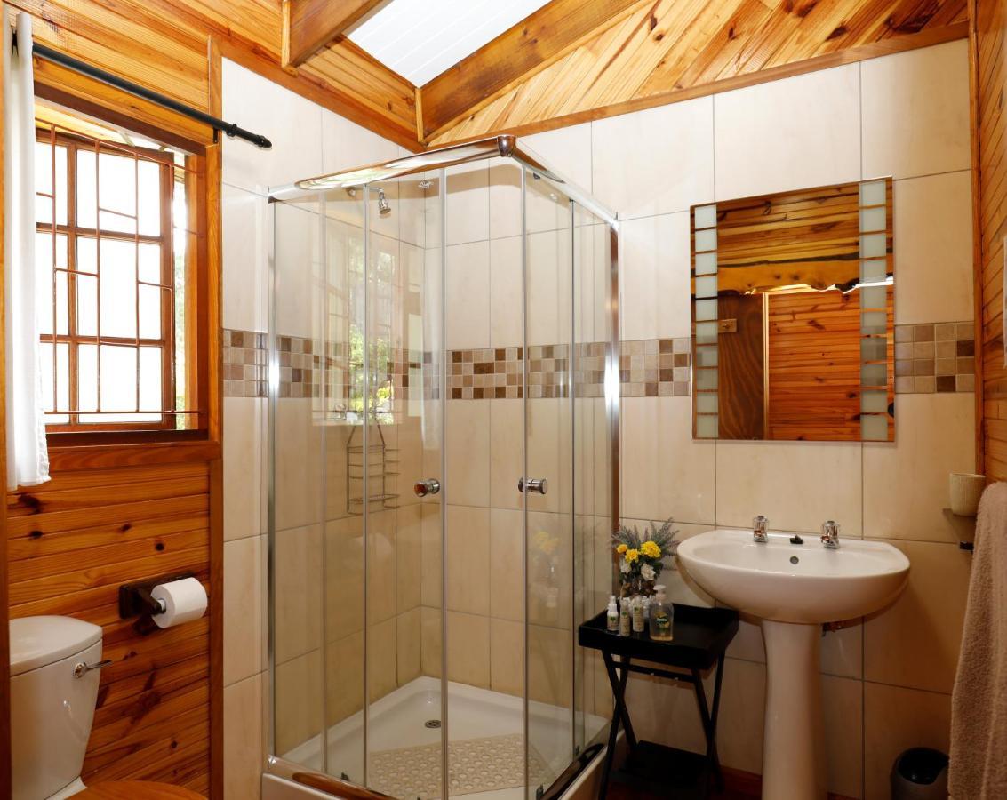 Big Tree House Lodge Knysna Exterior photo